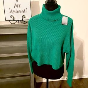 Chunky H&M Divided Turtleneck Sweater